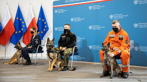 Państwo zajmie się mundurowymi emerytami na czterech łapach