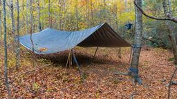 Na nocleg do lasu. Gdzie legalnie można rozbić namiot w Lubelskiem?