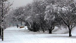Śnieg, utrapienie drogowców i pieszych ma wiele zalet. Jedną z nich jest ochrona gleby przez wysychaniem, co wpływa na wysokość rolniczych plonów
