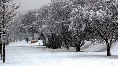 Śnieg, utrapienie drogowców i pieszych ma wiele zalet. Jedną z nich jest ochrona gleby przez wysychaniem, co wpływa na wysokość rolniczych plonów
