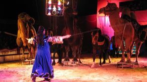 Zdjęcie ilustracyjne