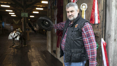 Były minister rolnictwa Jan Krzysztof Ardanowski obiecywał 1 mln zł nagród dla hodowców koni