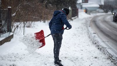 Pan Grzegorz odśnieży chodniki starszym osobom