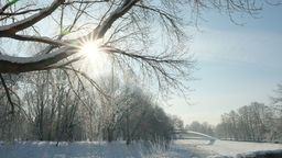 Rolnicy cieszą się z pogody. Będą większe plony?