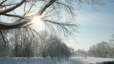 Rolnicy cieszą się z pogody. Będą większe plony?