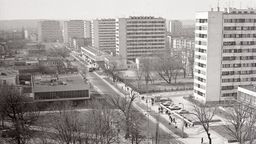 Widok na ulicę Centralną w Puławach prawdopodobnie z dachu hotelu Izabella wykonane w 1979 roku. Fotografię udostępniła Pracownia Dokumentacji Dziejów Miasta.
