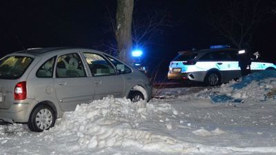 Uderzył w drzewo i uciekł. Wymyślił niezłe tłumaczenie