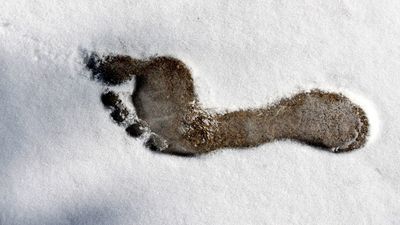 Zdjęcie ilustracyjne