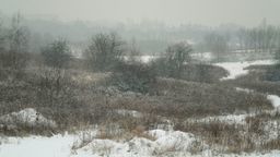 Górki czechowskie. Odliczanie do wyroku