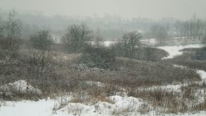 Górki czechowskie. Odliczanie do wyroku