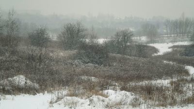 Górki czechowskie. Odliczanie do wyroku