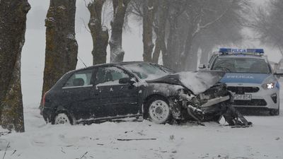 Powiat chełmski. Audi uderzyło w drzewo. Ranna 80-latka trafiła do szpitala