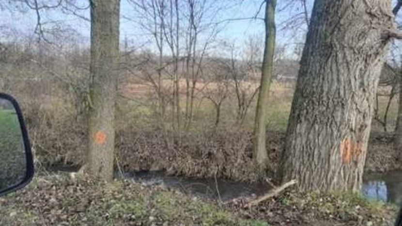 Powiatowi urzędnicy przyjrzą się drzewom rosnącym przy drodze powiatowej z Wąwolnicy do Mareczek i Rąblowa. Część z nich zostanie usunięta. Decyzji o skali wycinki jeszcze nie podjęto.