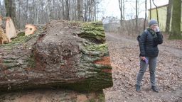 To są płuca Adampola, najstarszej dzielnica Świdnika. Bez tego lasu na pewno nie będziemy mieli szans na czyste powietrze – podkreślają inicjatorzy akcji, wśród których jest pani Katarzyna.