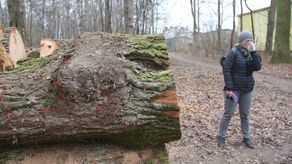 To są płuca Adampola, najstarszej dzielnica Świdnika. Bez tego lasu na pewno nie będziemy mieli szans na czyste powietrze – podkreślają inicjatorzy akcji, wśród których jest pani Katarzyna.