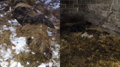 Zdjecie ilustracyjne