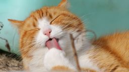 Zdjęcie ilustracyjne