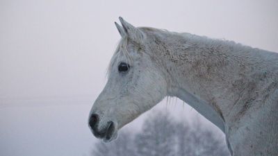 Zdjęcie ilustracyjne