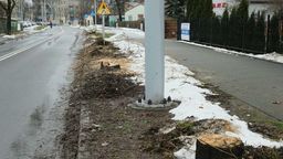 Lublin. Wielkie cięcie dopiero się zaczęło. Wyrok na 152 drzewa