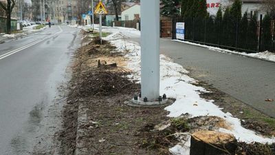 Lublin. Wielkie cięcie dopiero się zaczęło. Wyrok na 152 drzewa