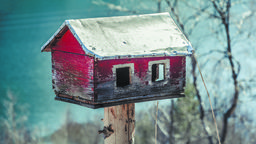 Budki wieszamy w miejscach osłoniętych od wiatru i nadmiernego nagrzewania ich przez słońce