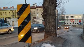 Lublin: Tych wycinek drzew można uniknąć? Aktywiści piszą do Ratusza