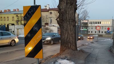 Lublin: Tych wycinek drzew można uniknąć? Aktywiści piszą do Ratusza