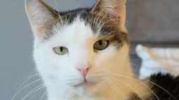 Zdjęcie ilustracyjne