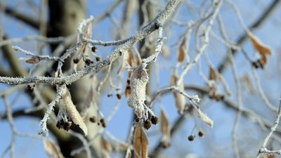 Lubelskie: W lutym mrozy z nami zostaną. Długoterminowa prognoza pogody