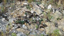 W niektórych miejscach śmieci były już 30 cm pod ziemią