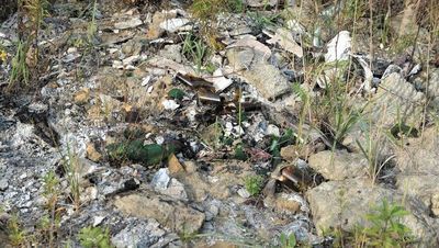 W niektórych miejscach śmieci były już 30 cm pod ziemią