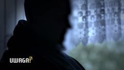 Celowo przejechał psa, groził oskarżycielom posiłkowym. Teraz mówi: Przepraszam