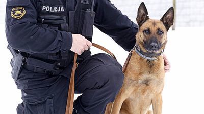 Półnagi chciał nocować w jamie na górkach czechowskich