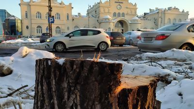 Społecznicy prosili o ocalenie jedynego drzewa rosnącego na pl. Dworcowym, pochyłego jesionu przed jedną z kamienic. Drzewo zostało jednak wycięte