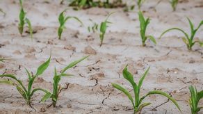 Jesteśmy skazani na susze, bo nie umiemy dbać o wodę