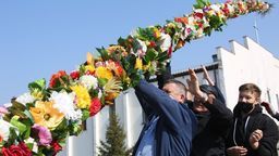 Najwyższa palma wielkanocna stoi od dzisiaj w Świdniku [zdjęcia]