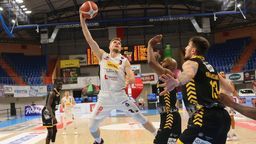 Pszczółka Start Lublin – Trefl Sopot 80:91. Fatalna końcówka [zdjęcia]