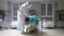 Wariant brytyjski winny nawet 80 proc. nowych zachorowań na Pomorzu