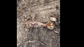 Pocisk najpewniej pochodzi z okresu II wojny światowej