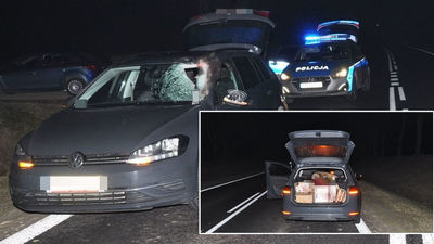 Lubelskie. Sarna przebiła przednią szybę VW. Zatrzymała się w bagażniku