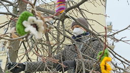 Bombardowanie włóczką z okazji wiosny