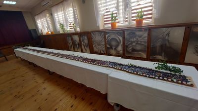 Ma prawie 7,5 metra długości. Lubelskie mazurki giganty