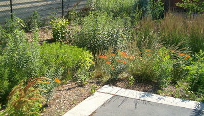 Zdjęcie ilustracyjne