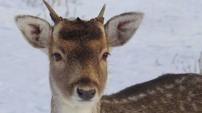 Zdjęcie ilustracyjne