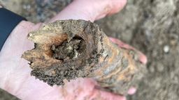 Według radnych PiS kości, które miały być znalezione na górkach, są „najprawdopodobniej ludzkie”. Według archeologa działającego na zlecenie spółki TBV Investment można tu rozpoznać kości bydła oraz świni