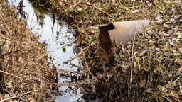 Zdjęcie ilustracyjne