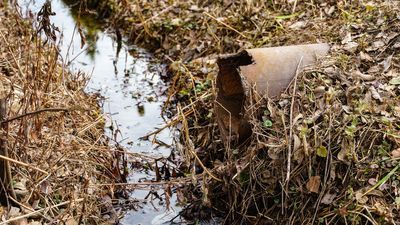 Zdjęcie ilustracyjne