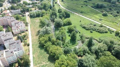 Dokładnie policzyli i wyszło słabo. Lublinowi potrzebne jest więcej zieleni