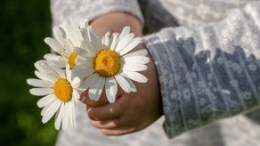 Lublin: Kto da więcej, pohandluje na deptaku