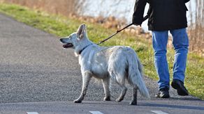 Codzienne posty na grupie Widzialna Ręka Lublin: kolejne prośby, kolejne załatwione sprawy